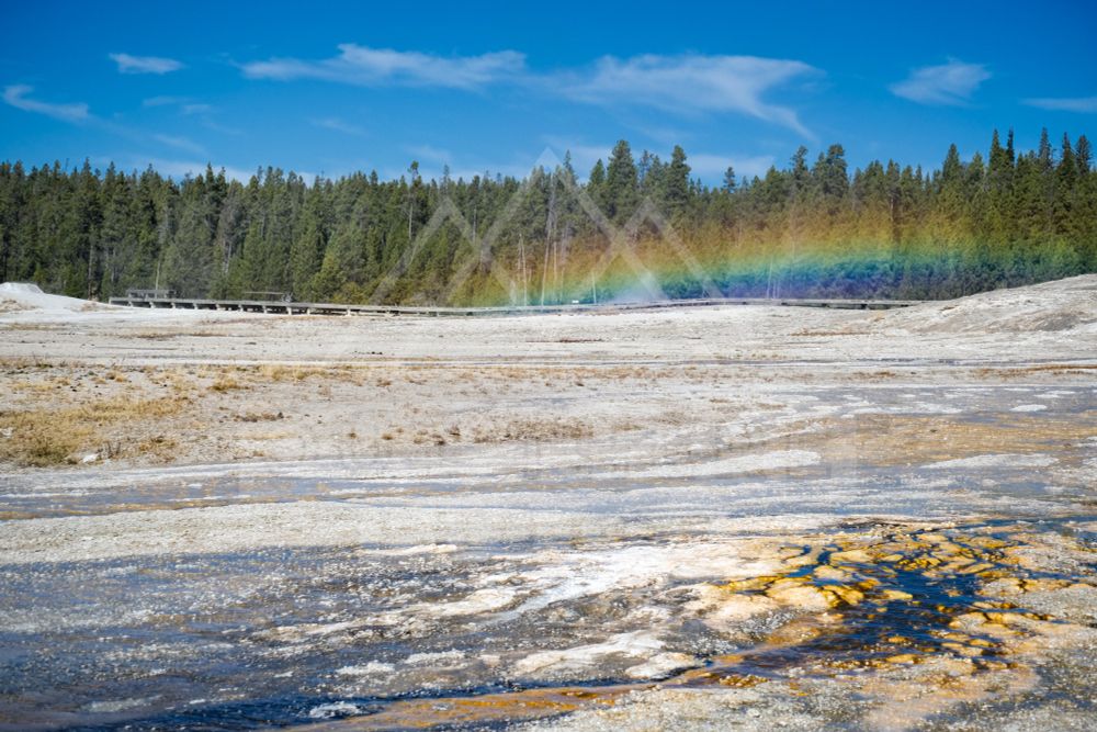 A rainbow in the sky over rocky ground with evergreen trees in the background 