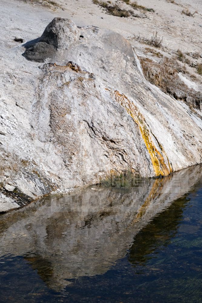 A rock with a vivid gold stripe is reflected in the water of a river