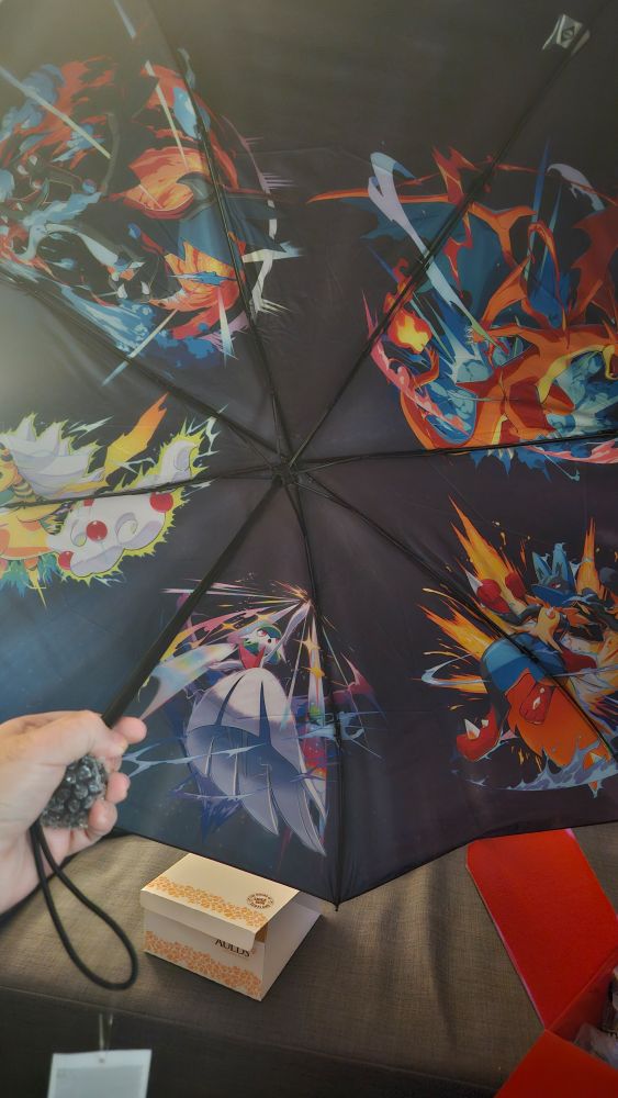Inside the pokemon umbrella that came with Legends ZA
