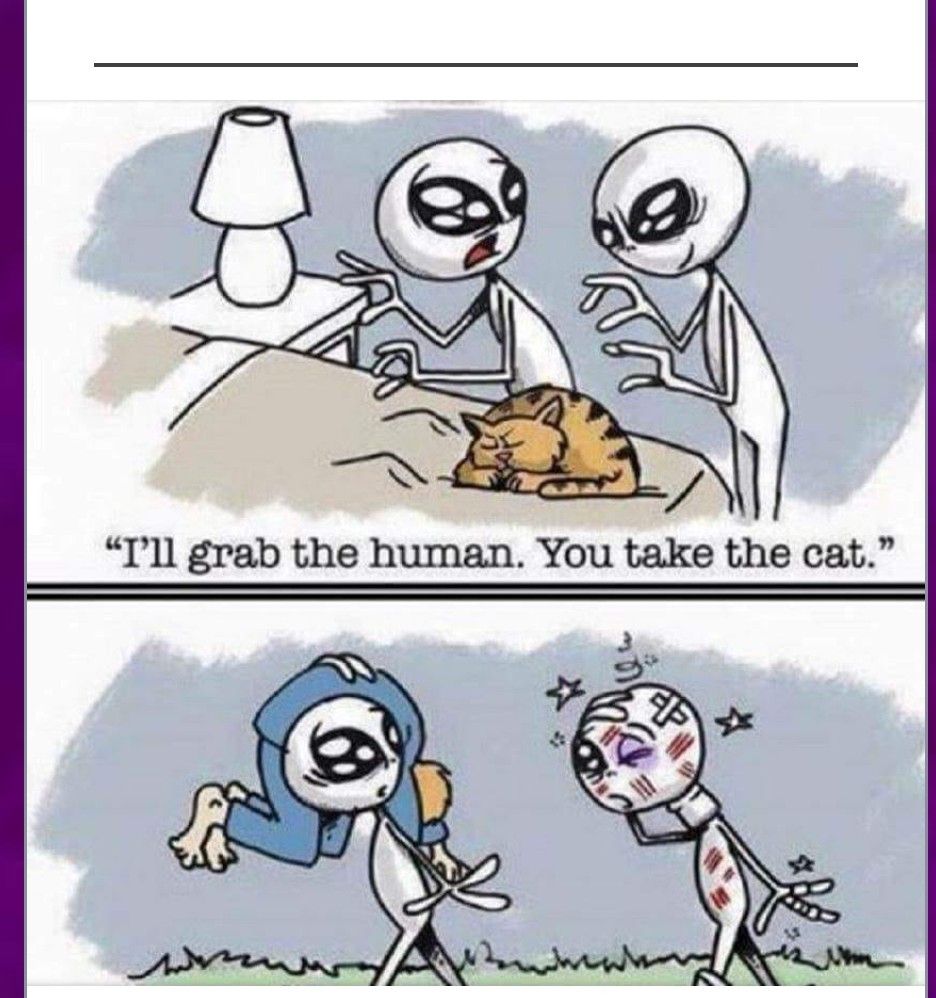 Alien abduction gone bad.