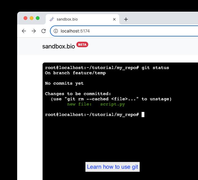 Learn how to use git