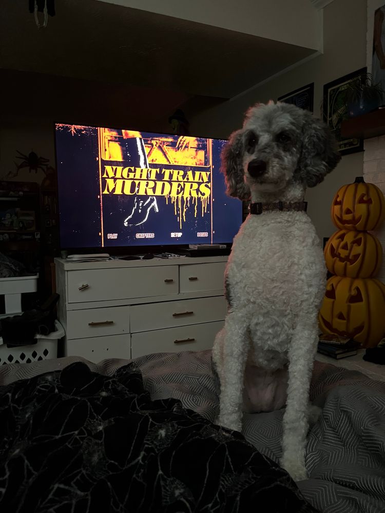 my dog standing in front of a tv screen with the night train murders menu on it 