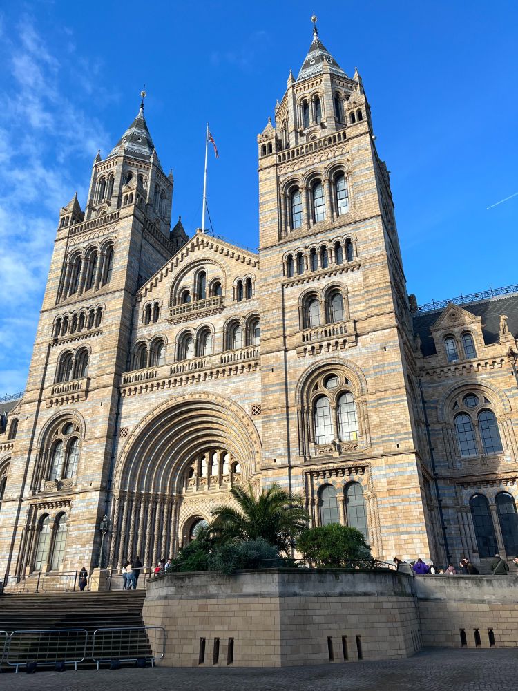 The front of the Natural History Museum in London on a sunny day. The sky in the background is very blue and there are some very light cloud behind the building. The sun lights up the cream-coloured stone of the building.