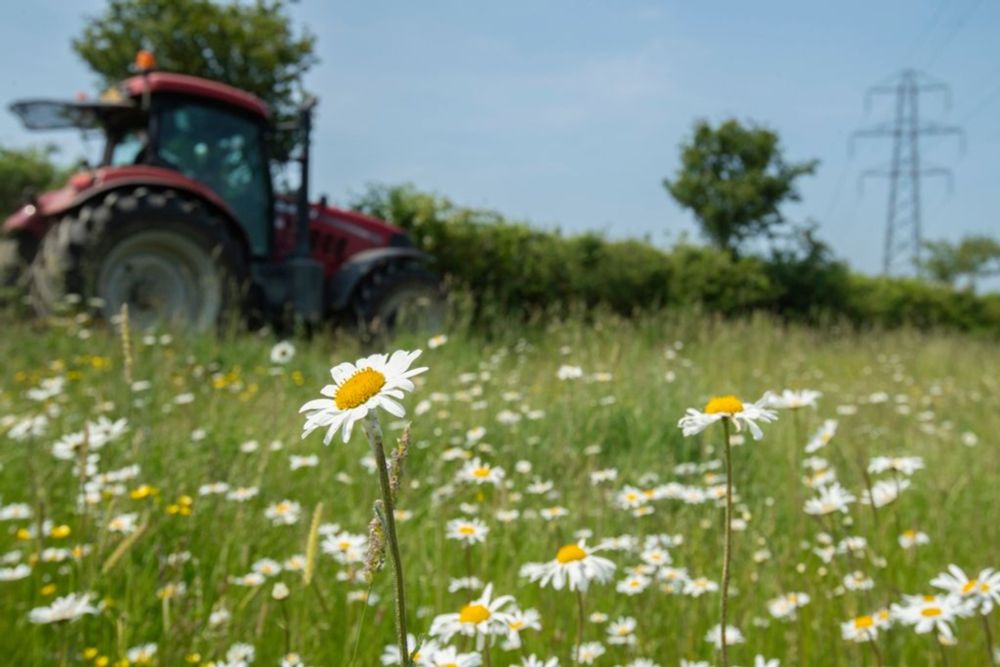 I want the UK to invest in nature friendly farming