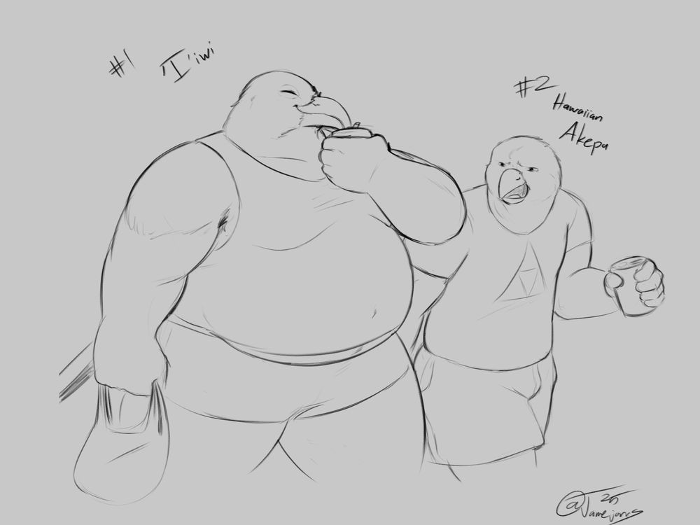 A large 'I'iwi man uses his beak to drink straight from a soda can while a Hawaiian Akepa looks at him confused