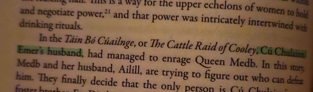 "Cú Chulainn, Emer's husband"

Quote from Filthy Queens by Dr Christina Wade