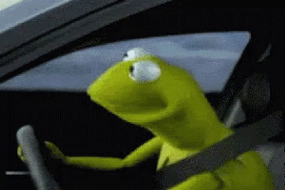 kermit the frog is driving a car and looking out of the window .