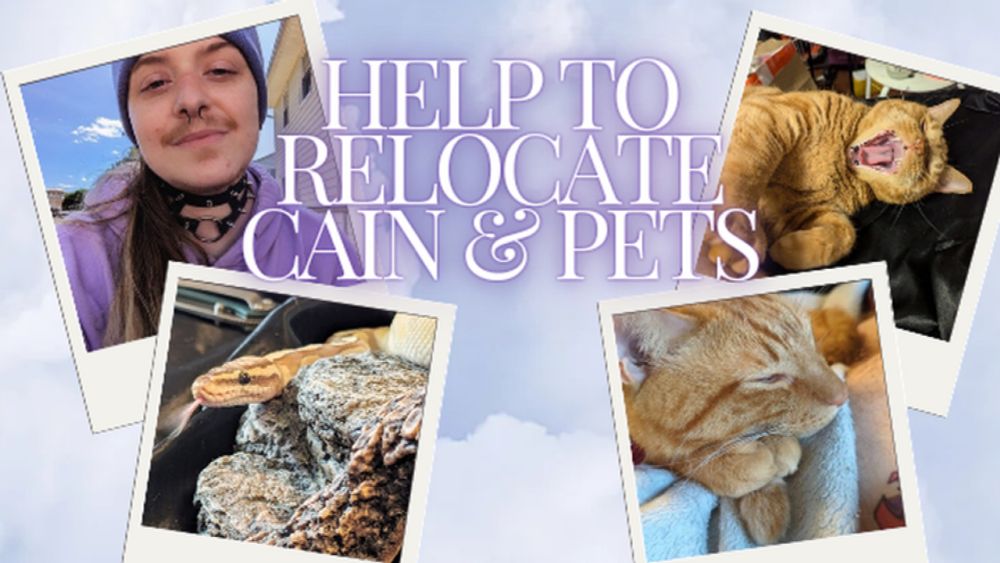 !!!HELP RELOCATE CAIN & PETS!!!, organized by Mike McGill