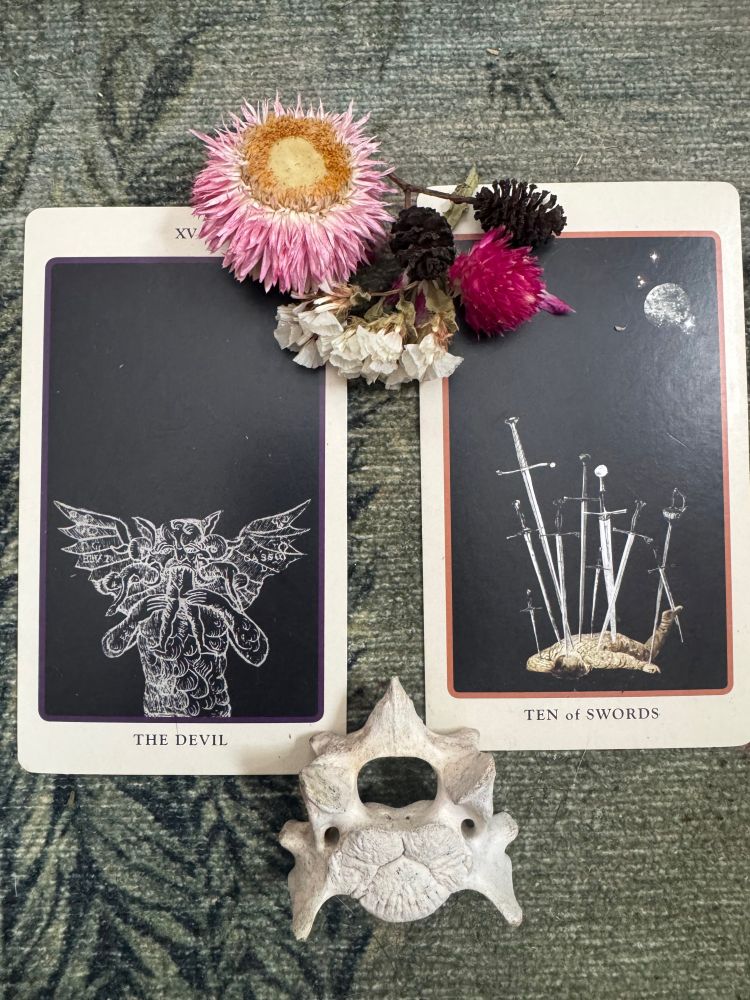 Two tarot cards from the spolia tarot deck. The Devil shows a solid black background with a white line drawing of a demon eating a child. The Ten of Swords shows a figure lying on their front with ten swords in the back of their body. 

Does the devil need more explanation today, of all days? Swords are air, which represents the mental realm, communication, ideas, and information. This card can reflect information overload, to the point of exhaustive and oppressive ends. 

Next to the cards are a small vertebrate and some dried flowers. 