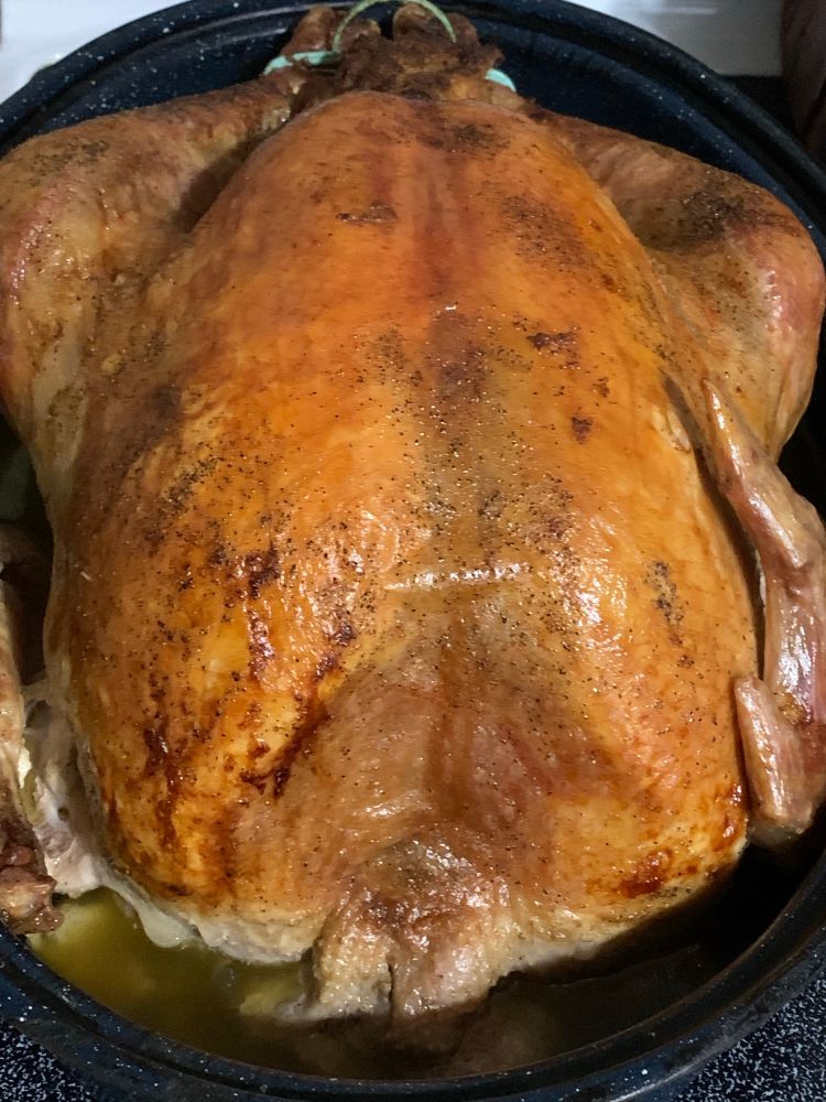 oven roasted turkey