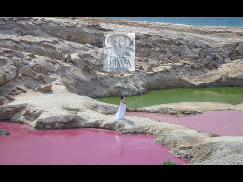 Zeyne - Hilwa | زين - حلوة (Official Music Video)