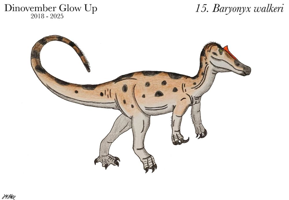 A Baryonyx strides to the right, its' head raised up.