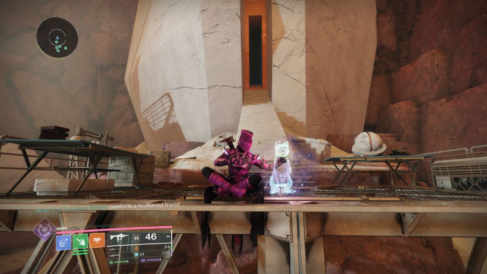 Screenshot of my guardian in the Incor-purr-ial Cat emote, in front of the gate leading back to the Desert Perpetual raid opening from the hydra encounter room.