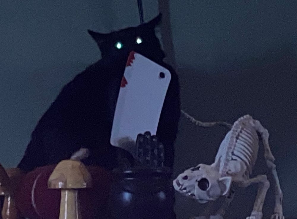 black cat with glowing eyes standing behind a plastic butcher knife and other halloween decorations