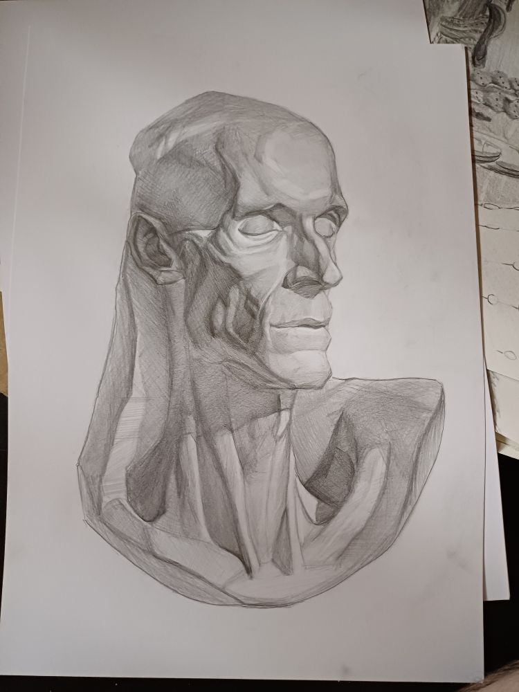 Drawing of a plaster cast of a head