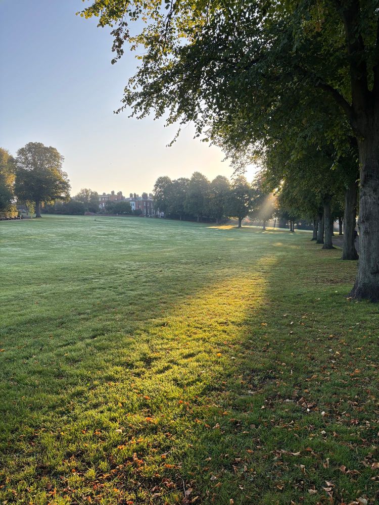 A shaft of sunlight descends onto the grass in the autumn morning, Quarry Park, Shrewsbury 