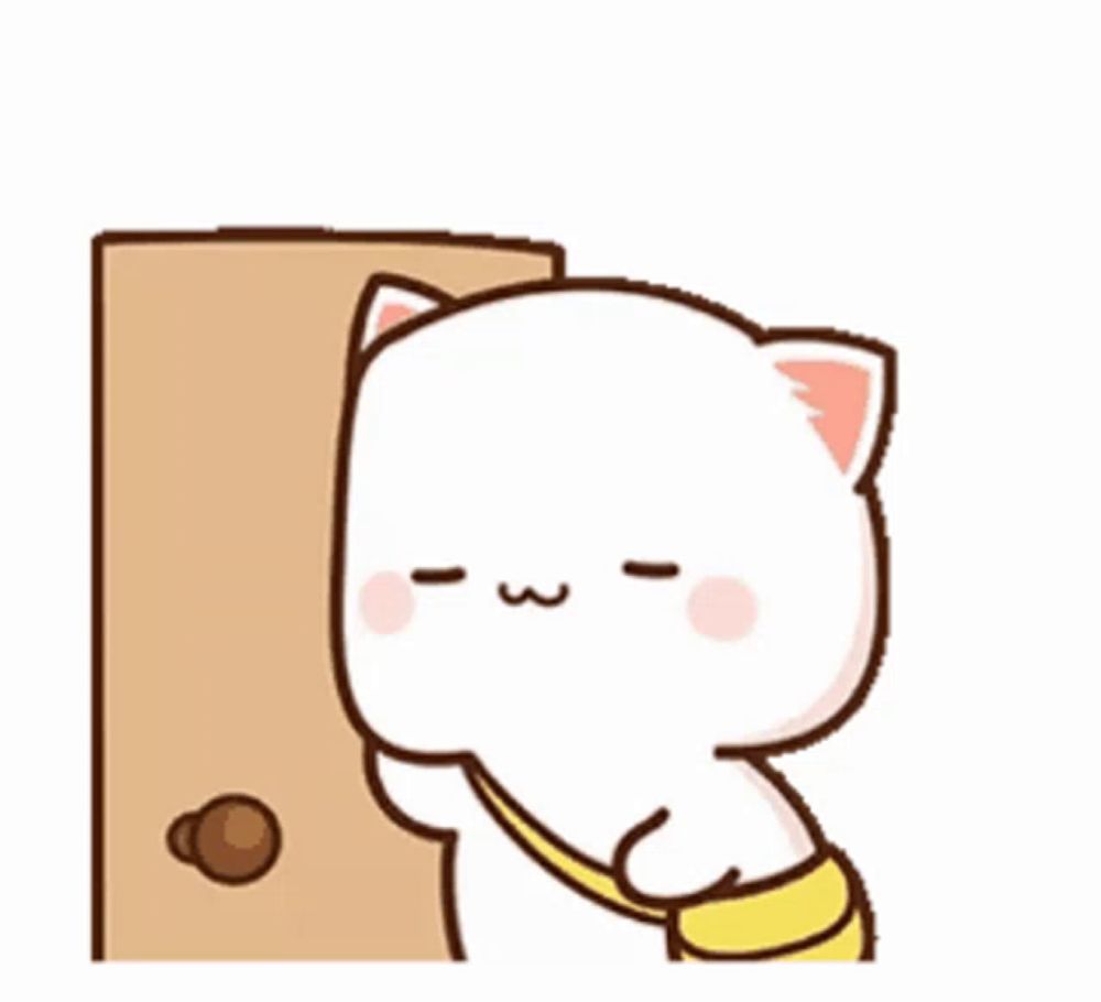 Mochi Cat GIF