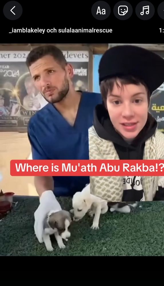 Where is veterinarian Mu'ath Abu Rakbal? 
He's helping Sulala Animal Rescue 

Instagram: https://www.instagram.com/share/reel/BBcEgHRUMv

Please share!