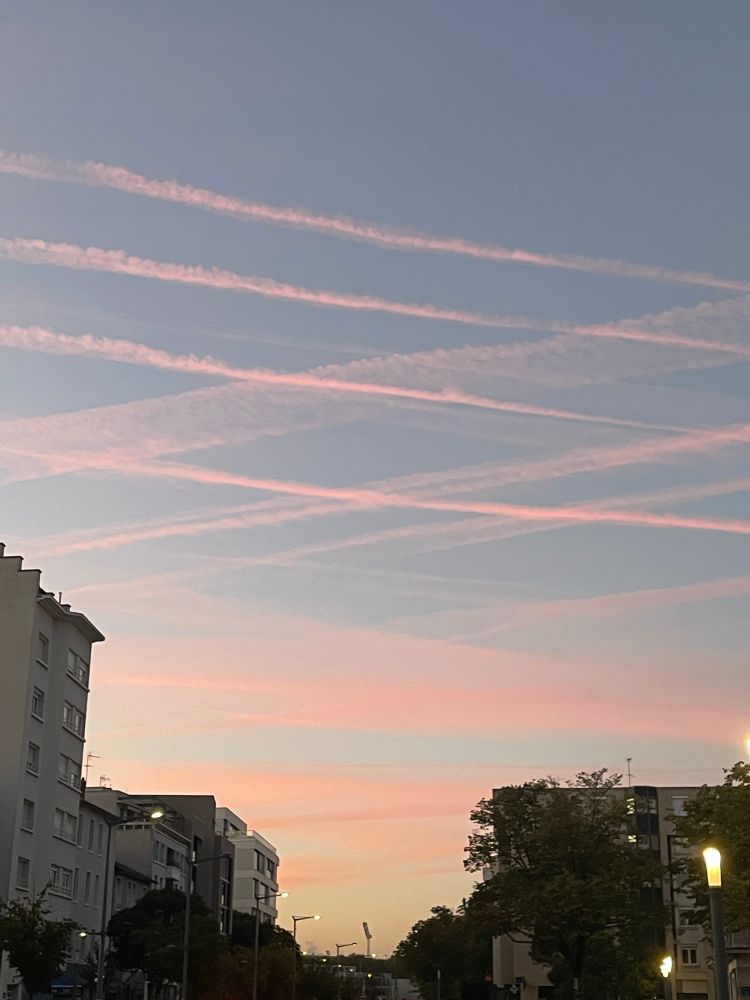 Traînées multiples d’avions dans le ciel matinal