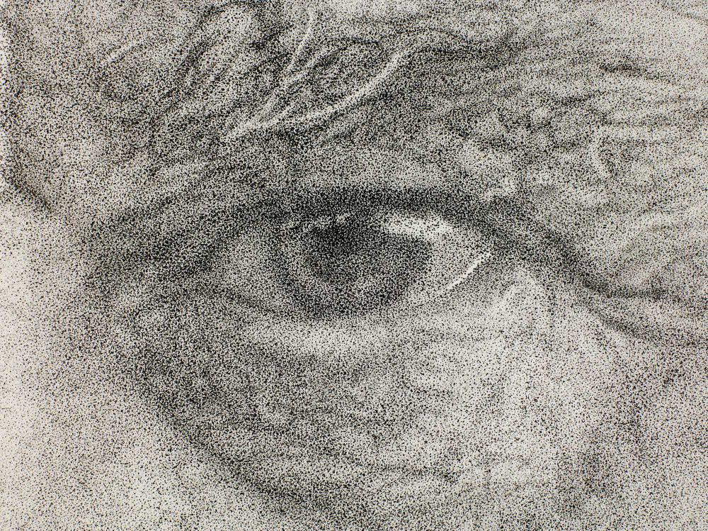 Detail of one of my portraits. Closeup of an eye. It was created in ink using millions of dots. 
