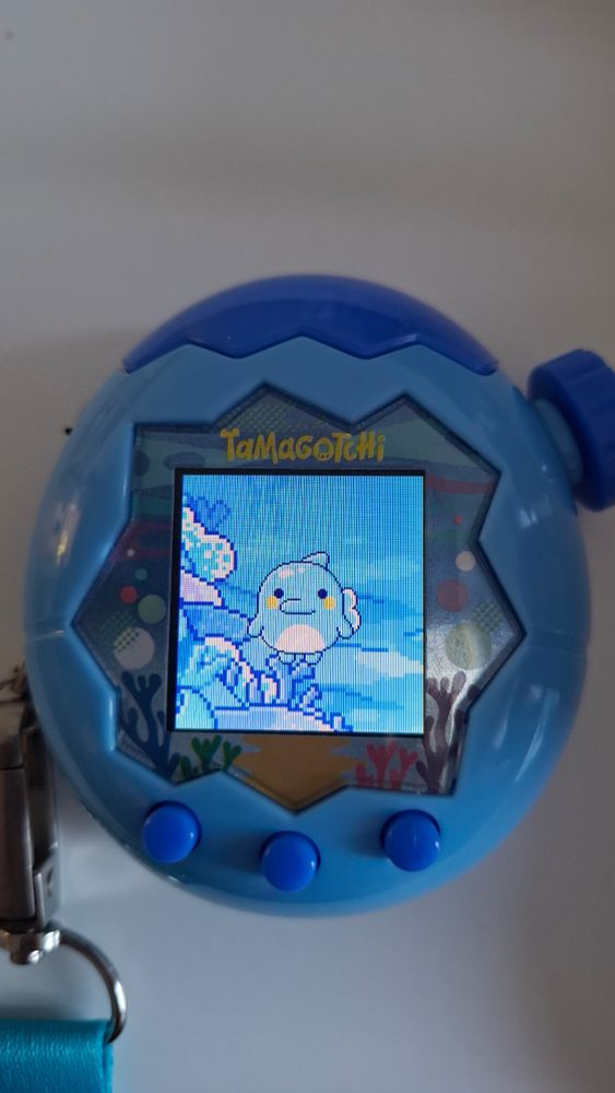 Photo d'un Tamagotchi Paradise au stade adulte version dauphin