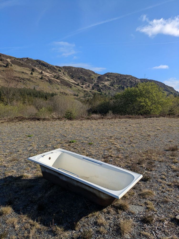 Bath tub in the forest