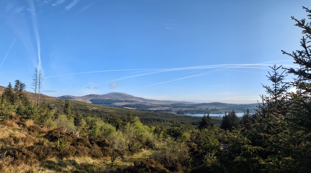 Panorama of pines, distant hillside and hint of loch 