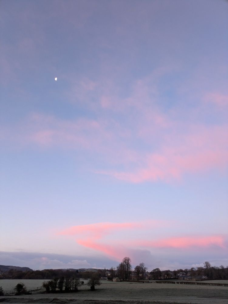 Frosty pink sunrise with moon