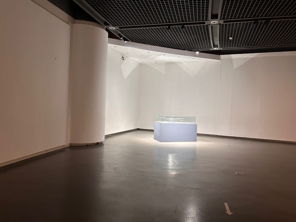 A photo of a single case in a museum with very bare, white walls. The floor is dark. A light shines on the case, which contains a dagger, although it is not visible in the photograph. 
