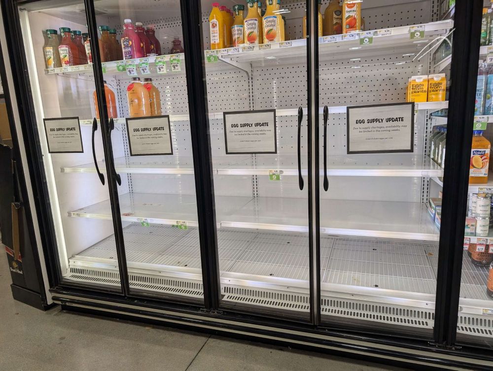 Empty shelves in the grocery store where the eggs used to be with signs regarding the egg supply shortage