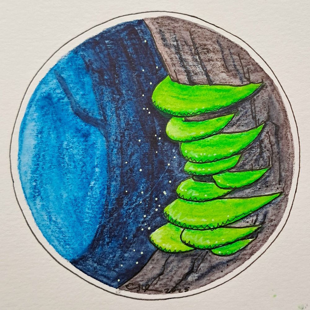 Illustration of glowing green mushrooms growing up the trunk of a tree.