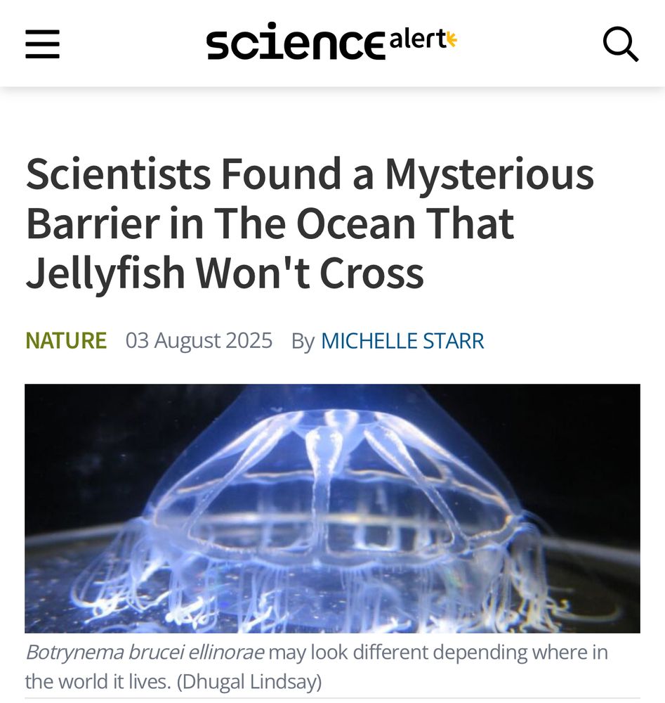 News article headline scientists found the mysterious barrier in the ocean the jellyfish won't cross