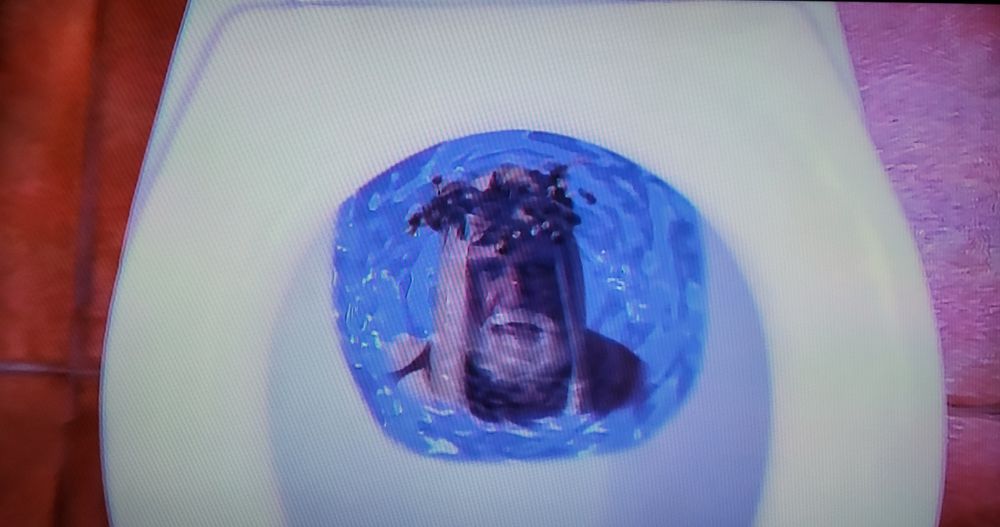 Hulk hogan in a toilet 