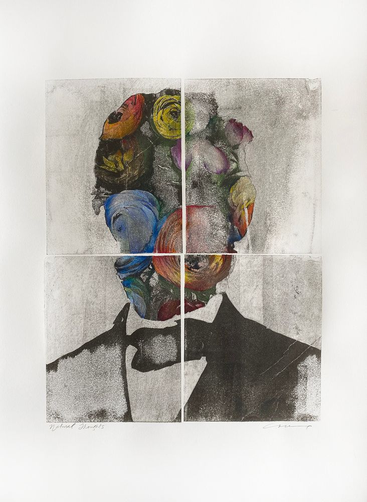Lithograph of an Abraham Lincoln portrait, with ranunculus flowers inside the head, graphically by julie cowan