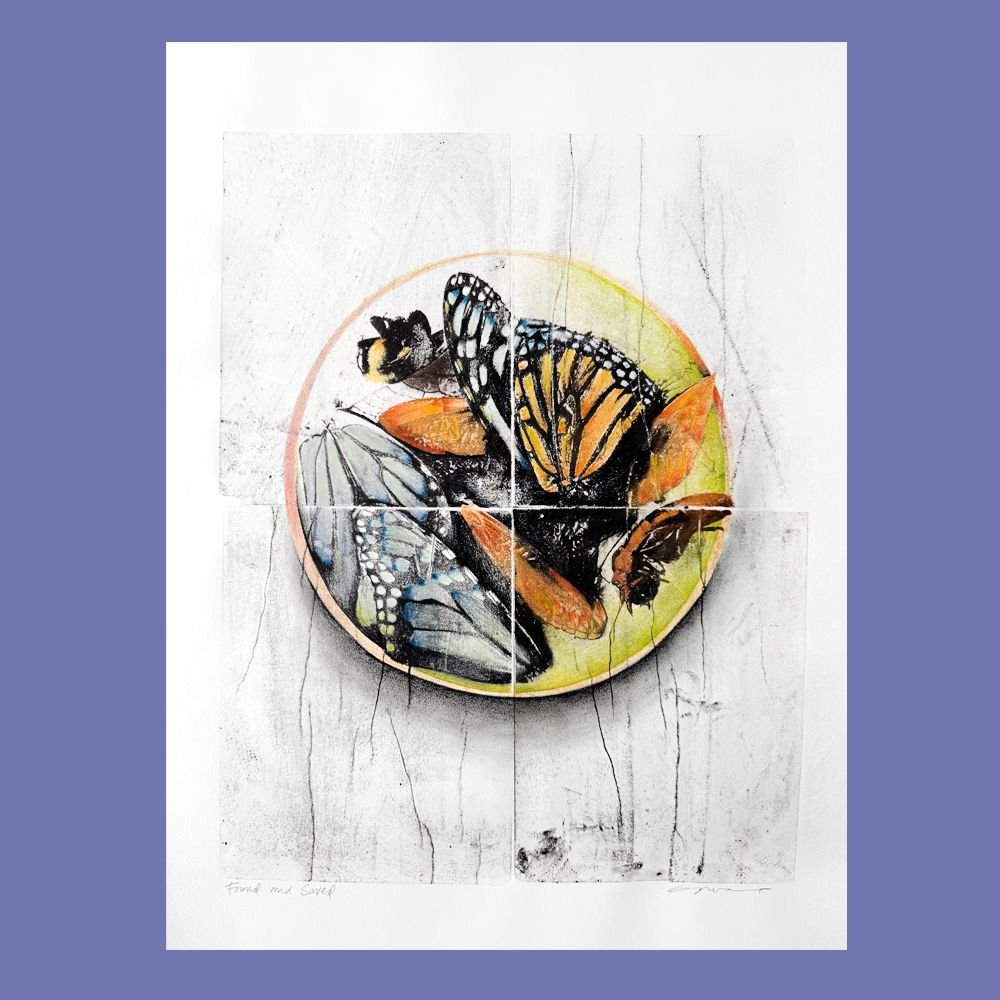 original lithgograph by julie cowan of a dish with parts of butterflies and other insects, hand colored. on a 22x30 sheet of paper