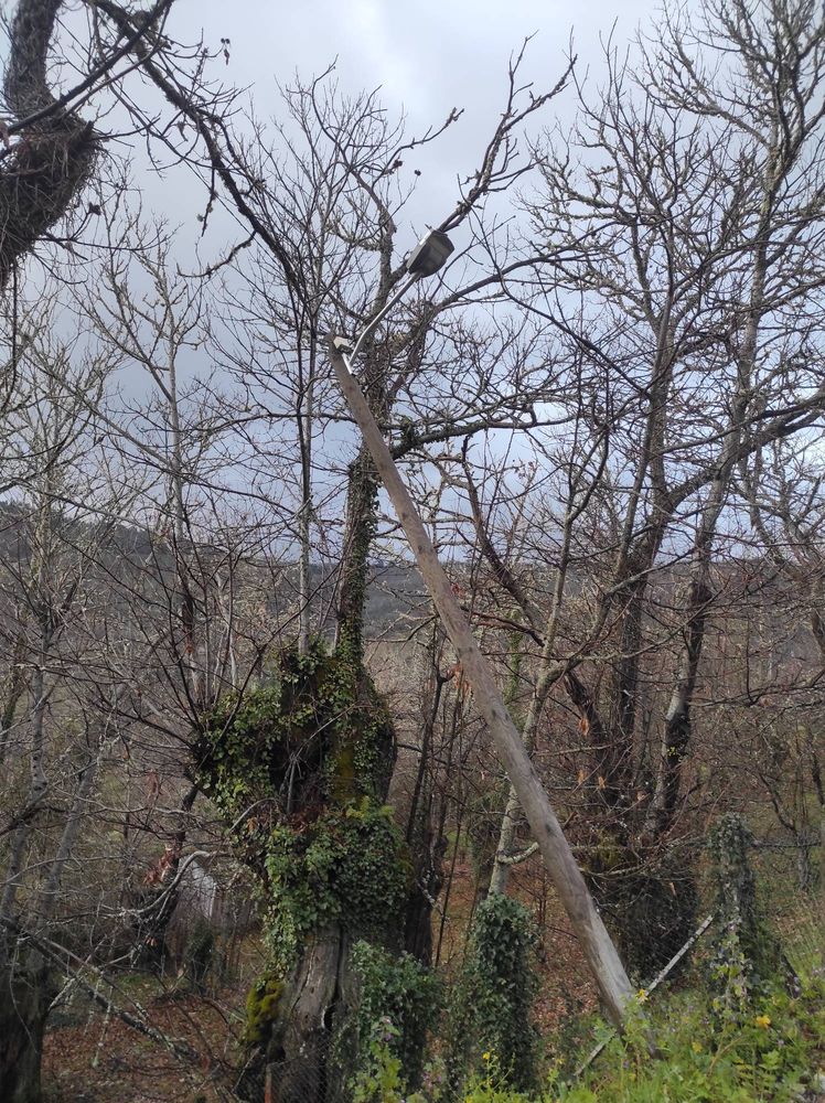 Farola en ángulo de 120 grados debido al temporal.