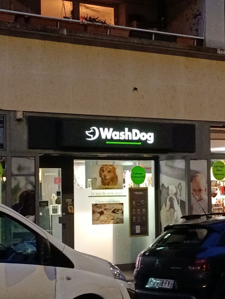 Panneau lumineux d'enseigne "Wash Dog"