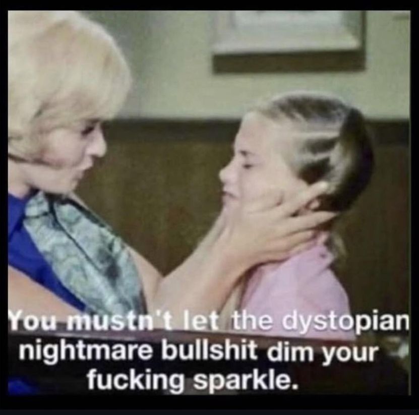 Meme that says "you mustn't let the dystopian nightmare bullshit dim your fucking sparkle."