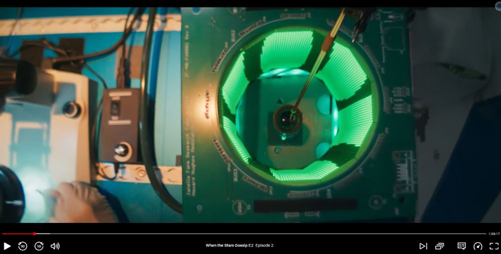 Screencap showing Drosophila flight arena