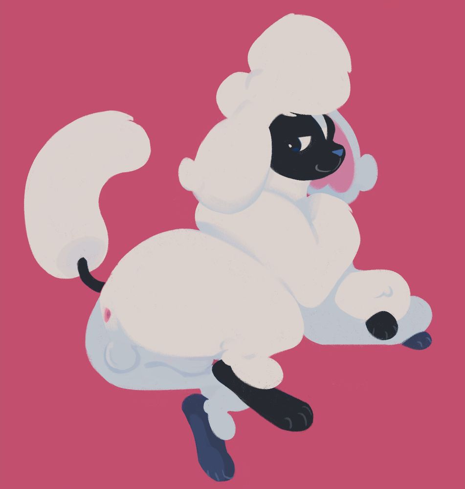 toy poodle version of furfrou (fakemon) showing hole to the viewer. appears to be smug about this