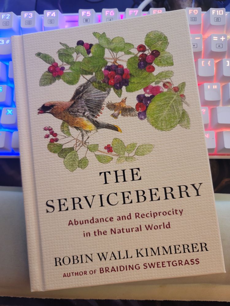 A copy of the book "The Serviceberry: Abundance and Reciprocity in the Natural World" by Robin Wall Kimmerer on top of a keyboard.