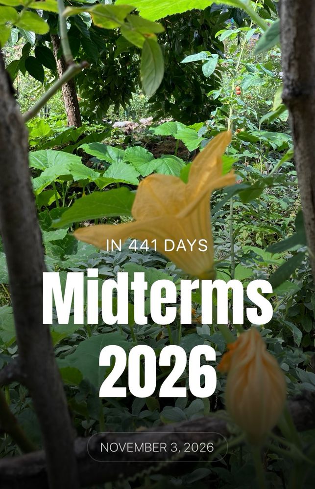 Midterms in 441 days