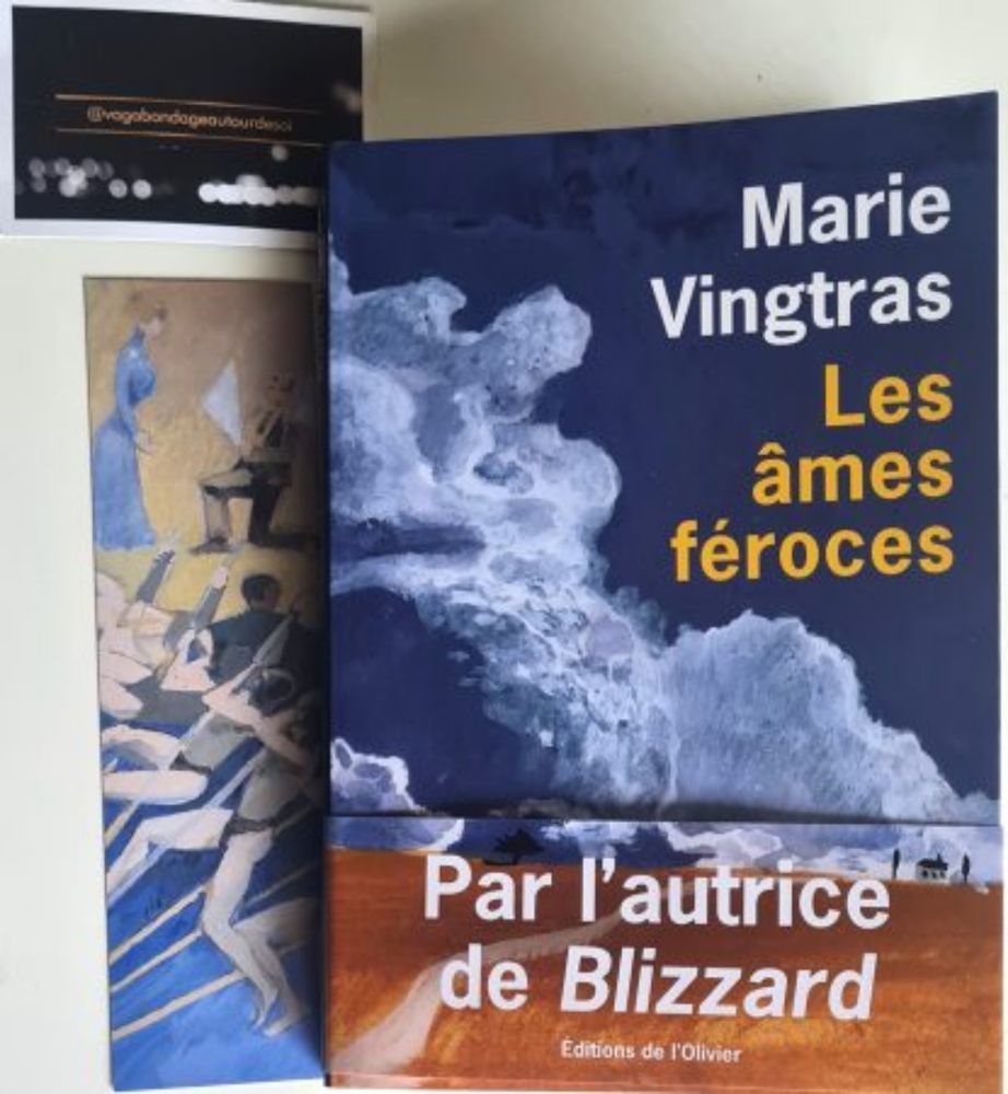 Marie Vingtras – Les âmes féroces | vagabondageautourdesoi