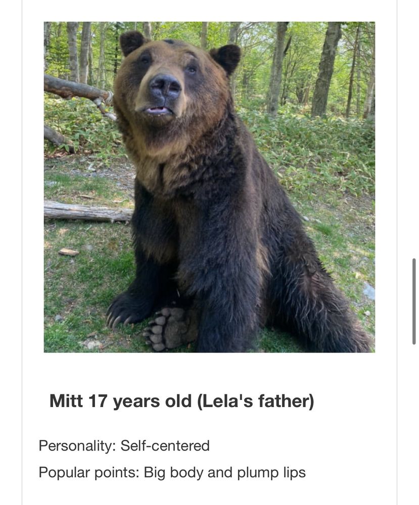 Personality: Self-centered
Popular points: Big body and plump lips