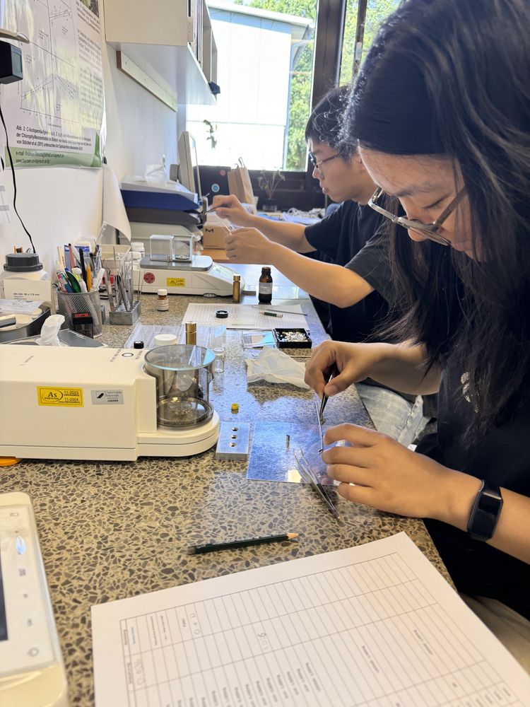 Students of the BaySISS 2024 preparing standards for isotopic analysis. Creative Commons Copyright (CC BY): Wanqiong Mao