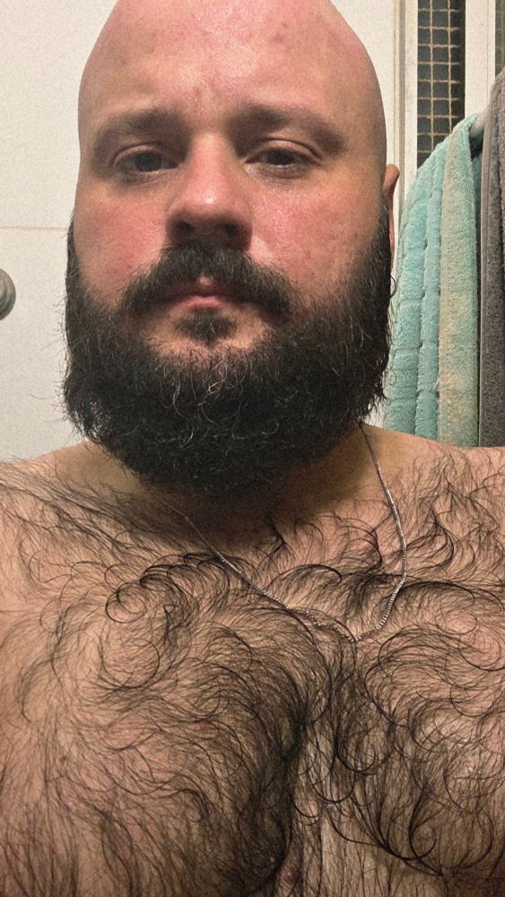 Foto minha do peito pra cima mostrando os pelos do peito, formando alguns cachos pela ficção da camisa com o colo.