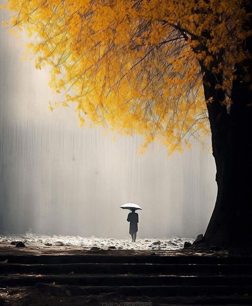 Man walks in beautiful nature. Image by Yeray Sánchez