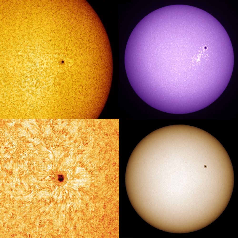 A four panel image showing the Sun in three filters, and a closeup of a sunspot 