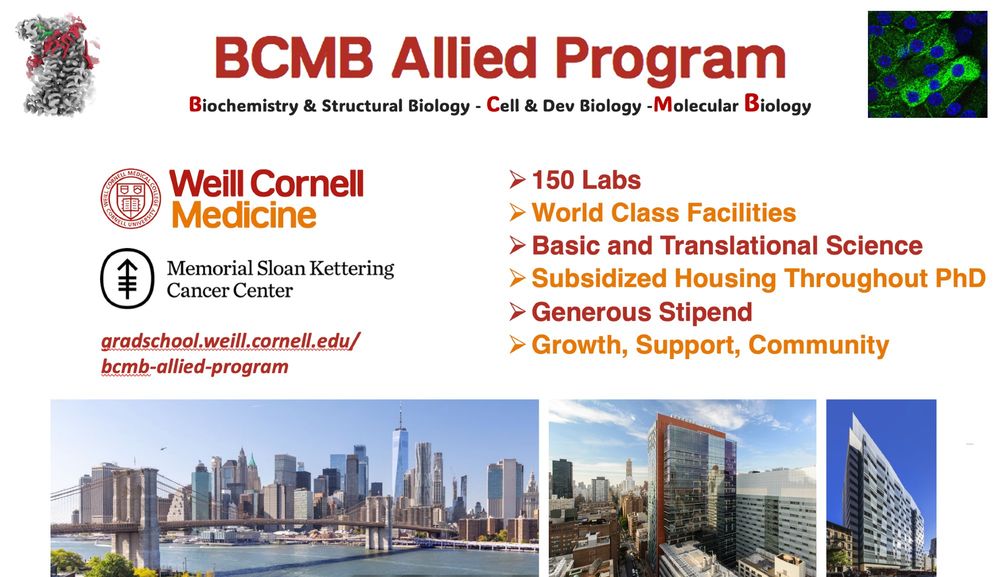 Join the BCMB PhD program jointly run by Weill Cornell Medicine and Memorial Sloan Kettering Cancer Center. Deadline December 1st, 2024.