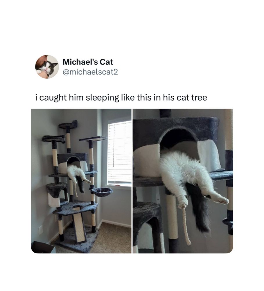 two pictures of a white cat totally passed out in his cat tree, with his legs dangling out. The tweet caption says “I caught him sleeping like this in his cat tree.”
